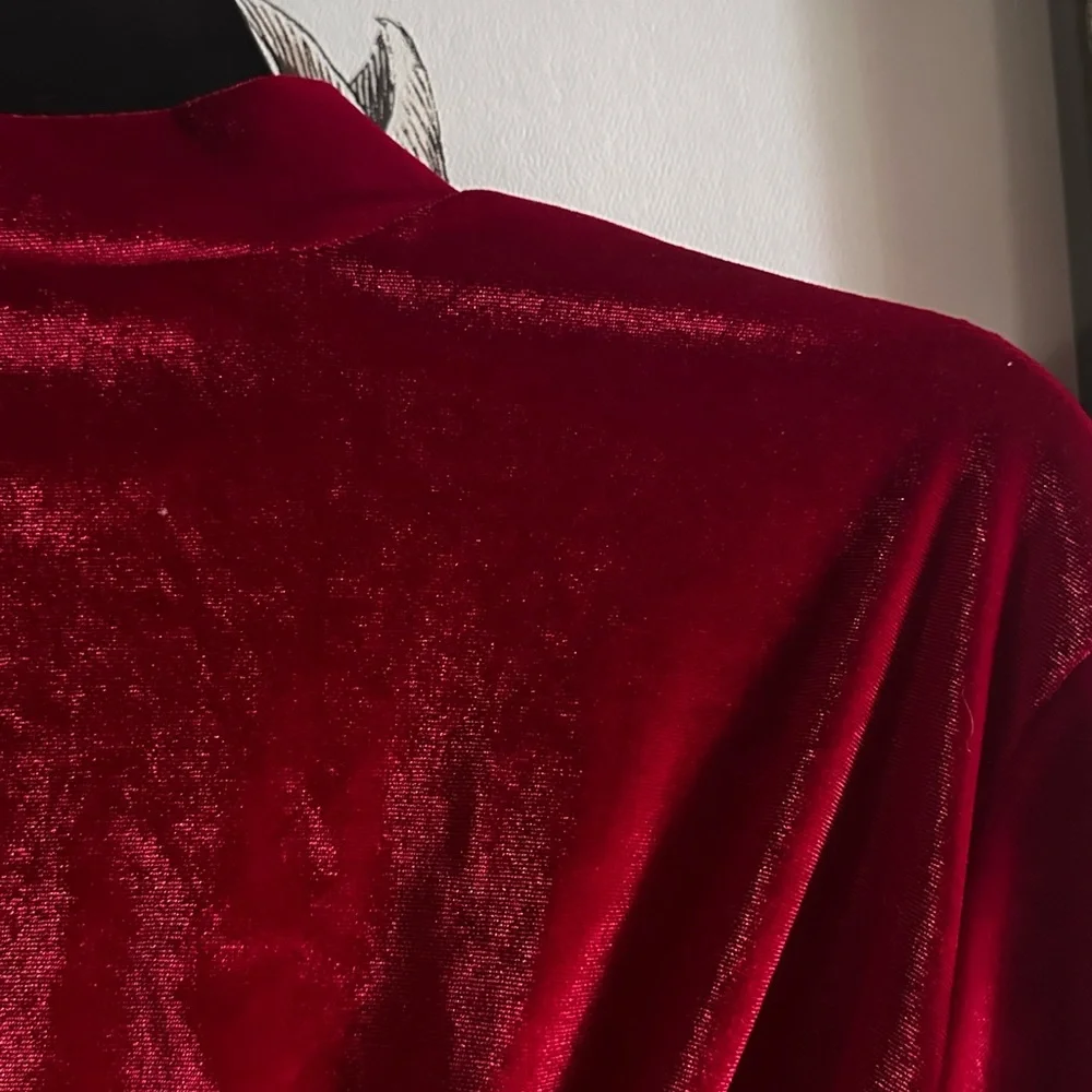 Velvet Red CropTop - Picture 3 of 3
